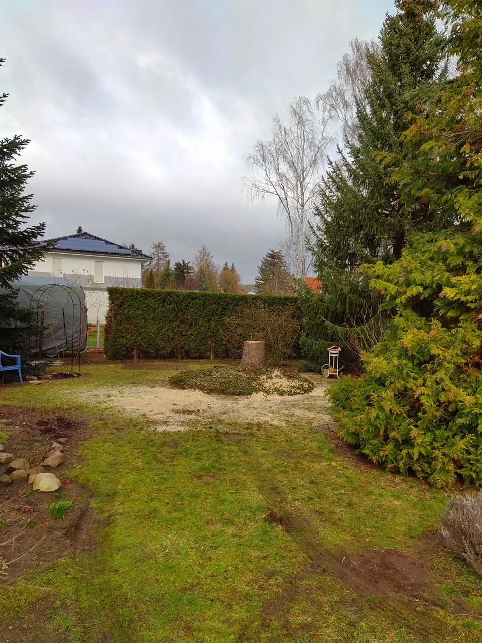 Baumfällungen in Storkow Projekt nachher